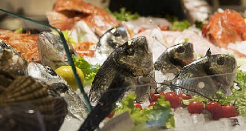 Il pesce fresco - Pescheria Eataly