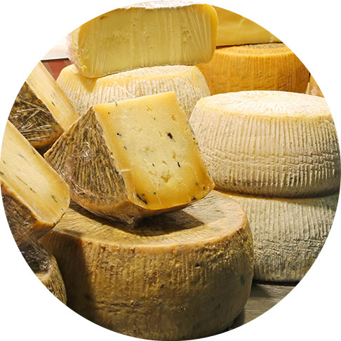 Pecorino