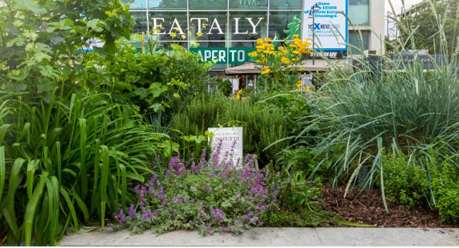 Eataly all'aperto - Milano Smeraldo
