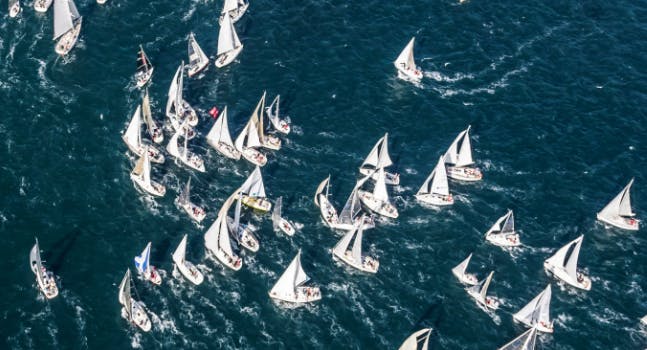 Barcolana Trieste