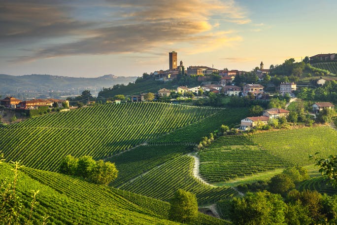 Vini delle Langhe