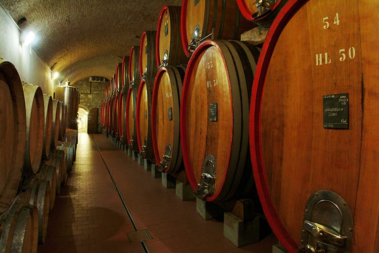 Nino Negri cellar