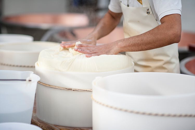 cheese making