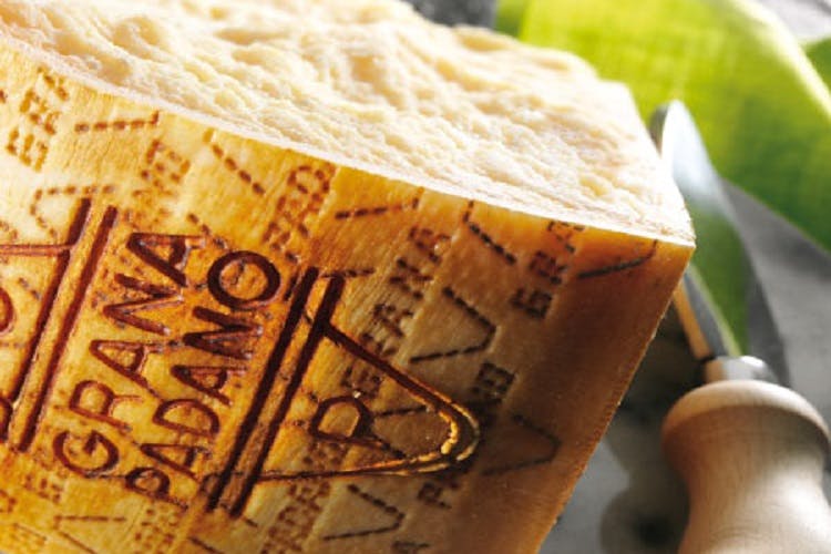 Grana Padano DOP