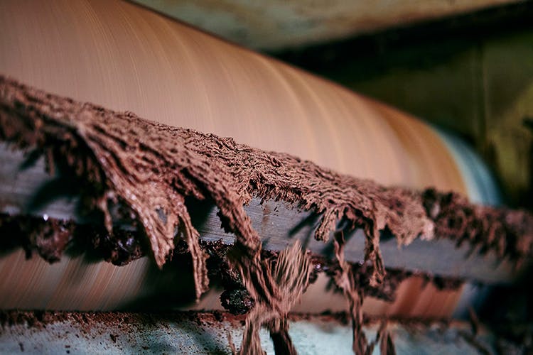 chocolate production