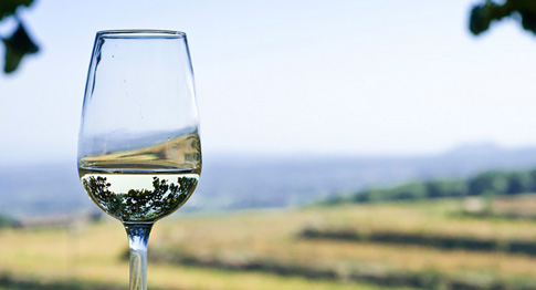 Wine Guide for Grilling
