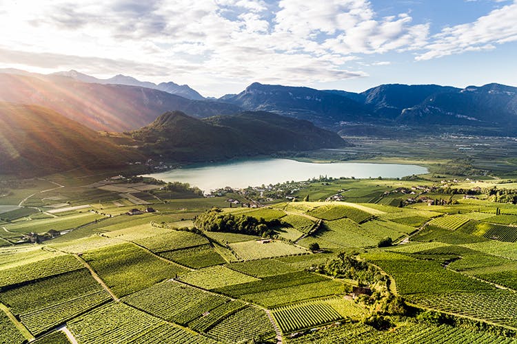 Get to know the Wines of Alto Adige – Südtirol