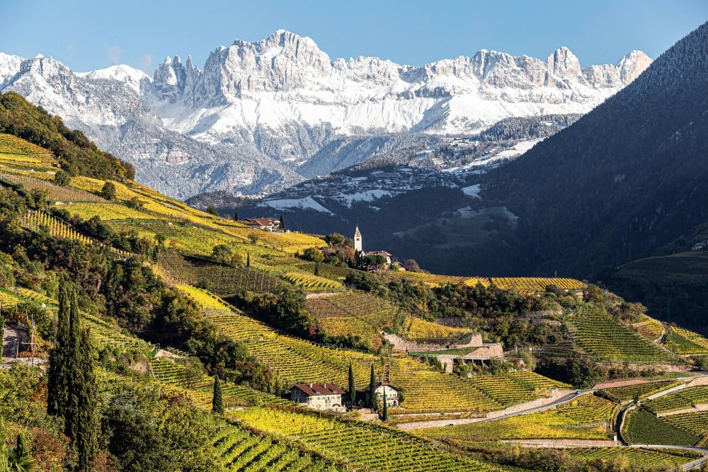 Alto Adige – Südtirol is Italy’s northernmost wine region