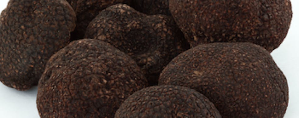 Black truffle
