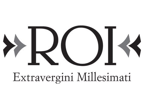 Roi logo