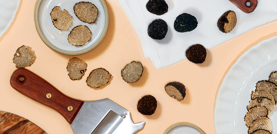 Summer Black Truffles