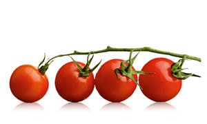 FOOD UNITES US ALL