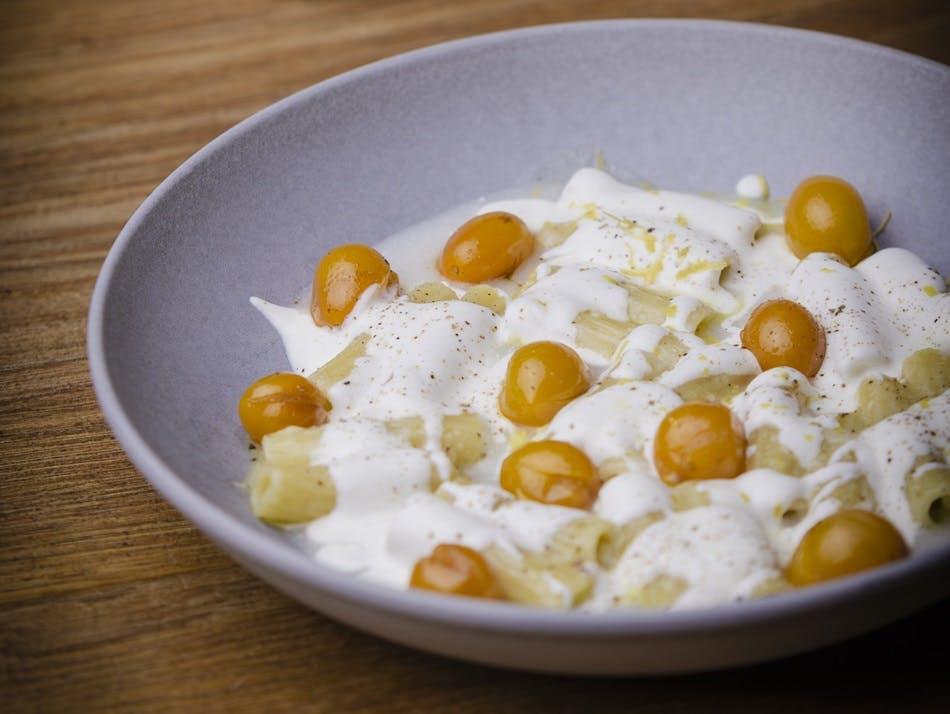 Bowl of Cosi Come Rigatoni with Yellow Datterino Tomatoes, Provola Cheese Fondue, and Lemon Zest