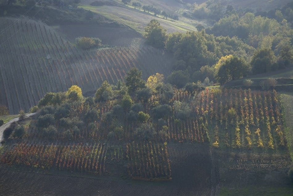 Hills of Regione Basilicata