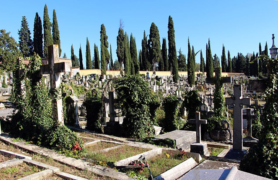 Firenze cemetery