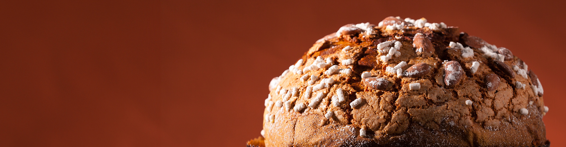 ZvW4IbVsGrYSwDTo ENET October 2024 HomepageHero Desktop