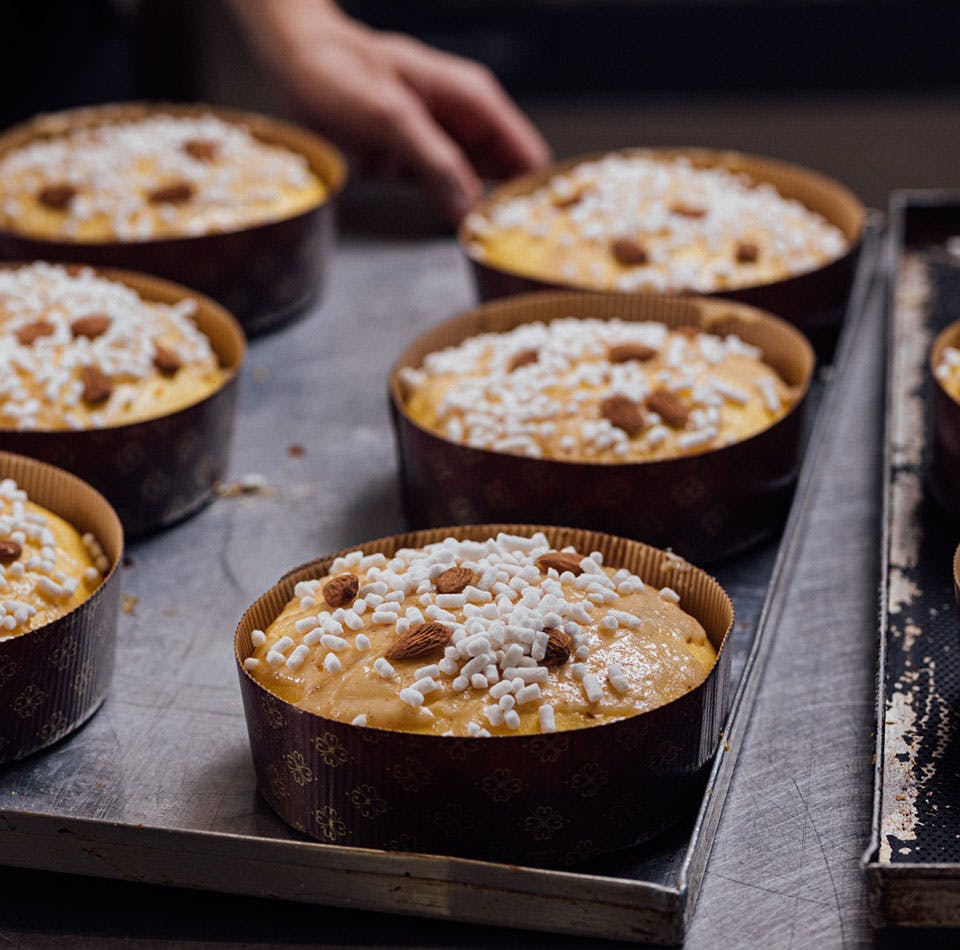 Panettone ready to be baked