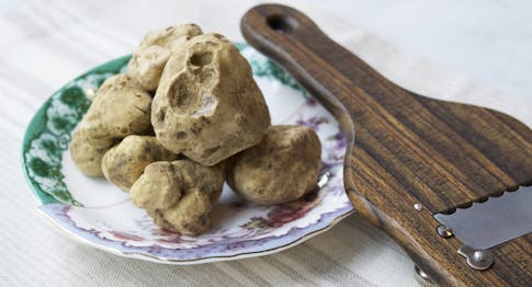 Italian truffle