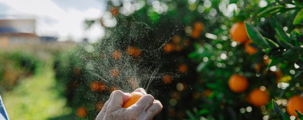 Granriviera Oranges