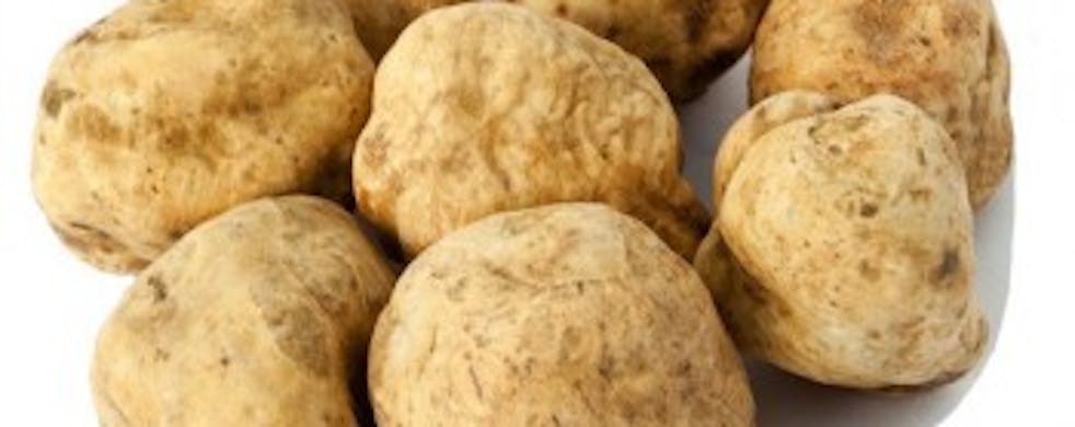 White truffle Alba