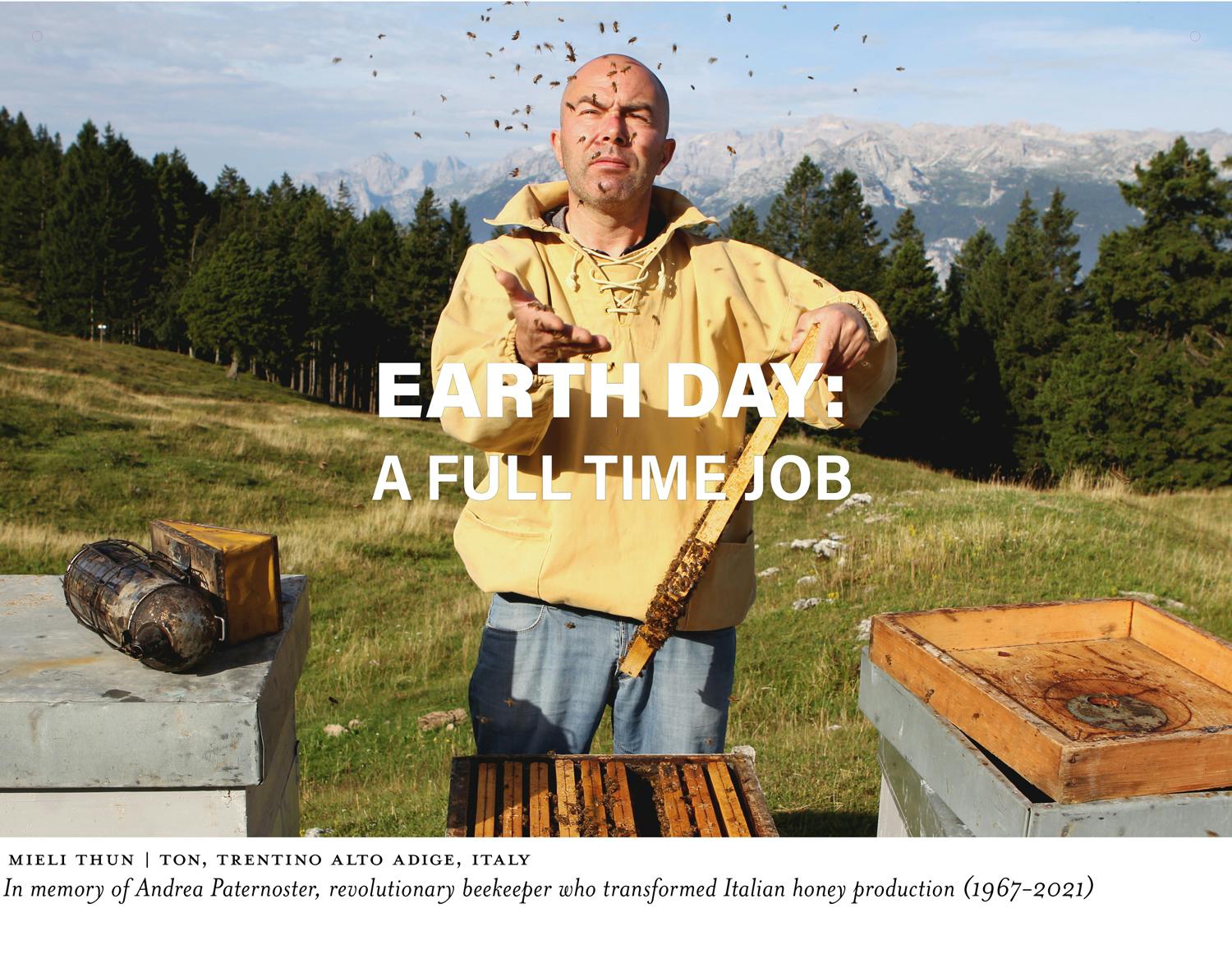 earth day - a full time job