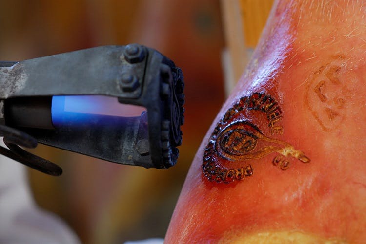 Prosciutto San Daniele branding