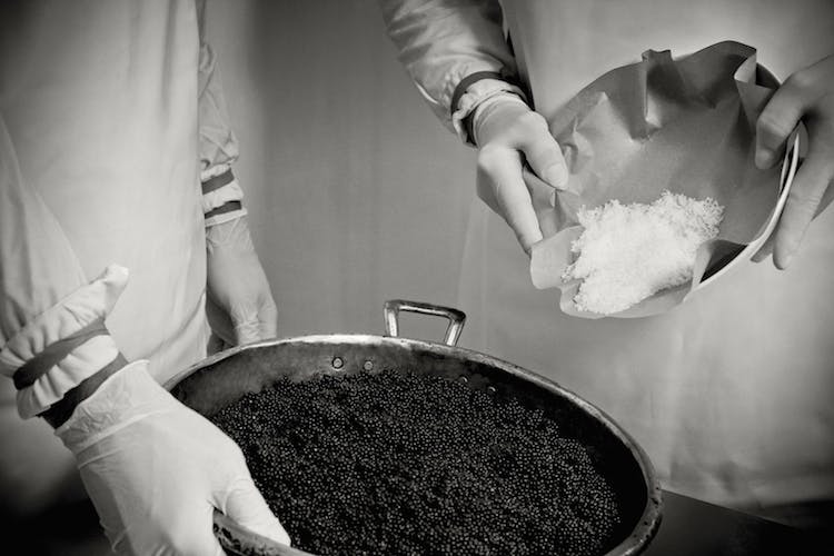 salting process