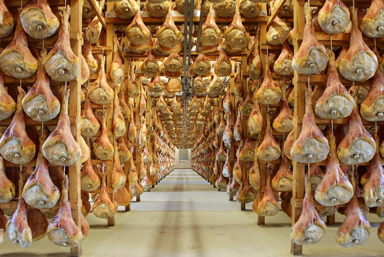 Prosciutto San Daniele aging room