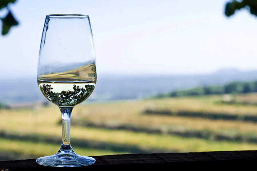 Wine Guide for Grilling