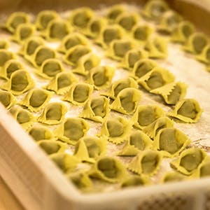 fresh pasta