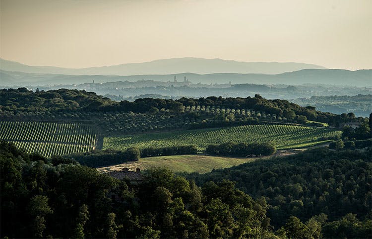 san felice landscape