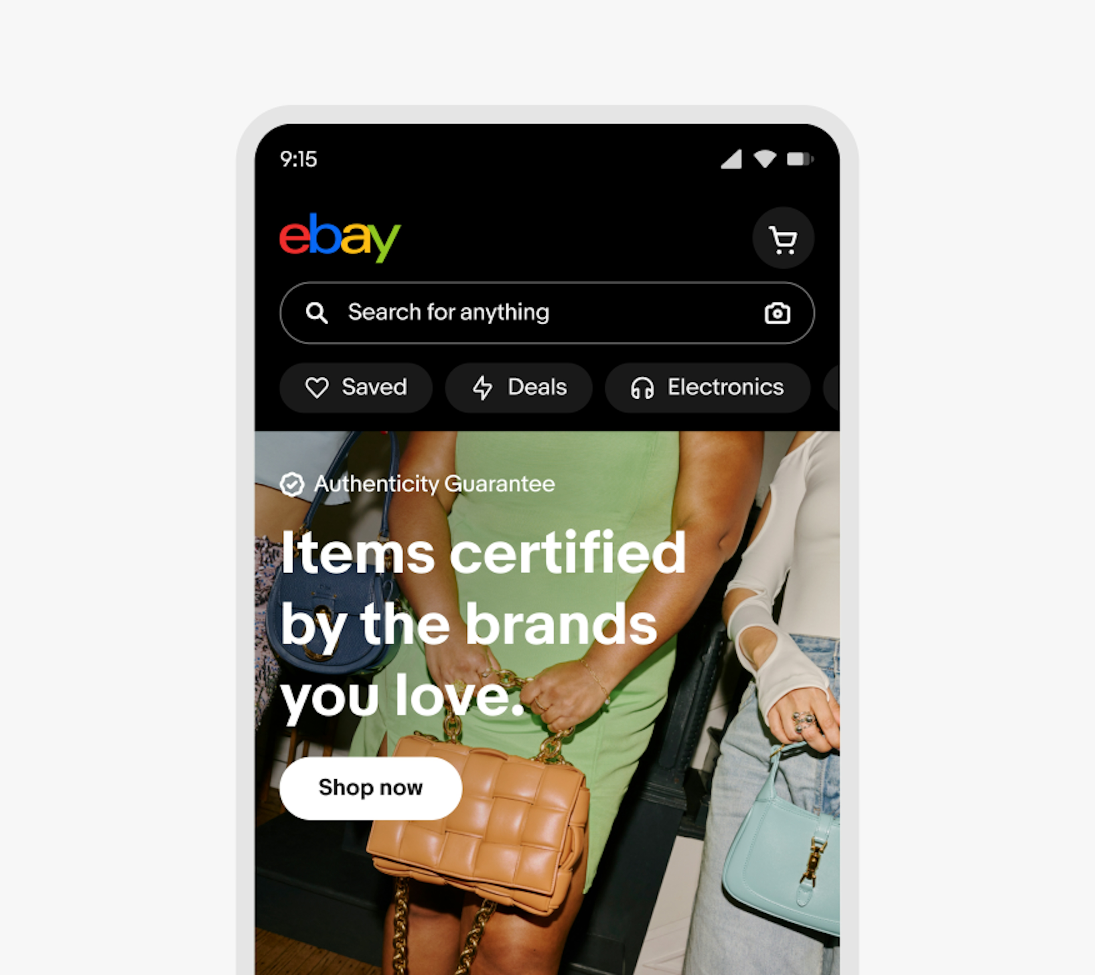The eBay logo in the top navigation of the mobile app.