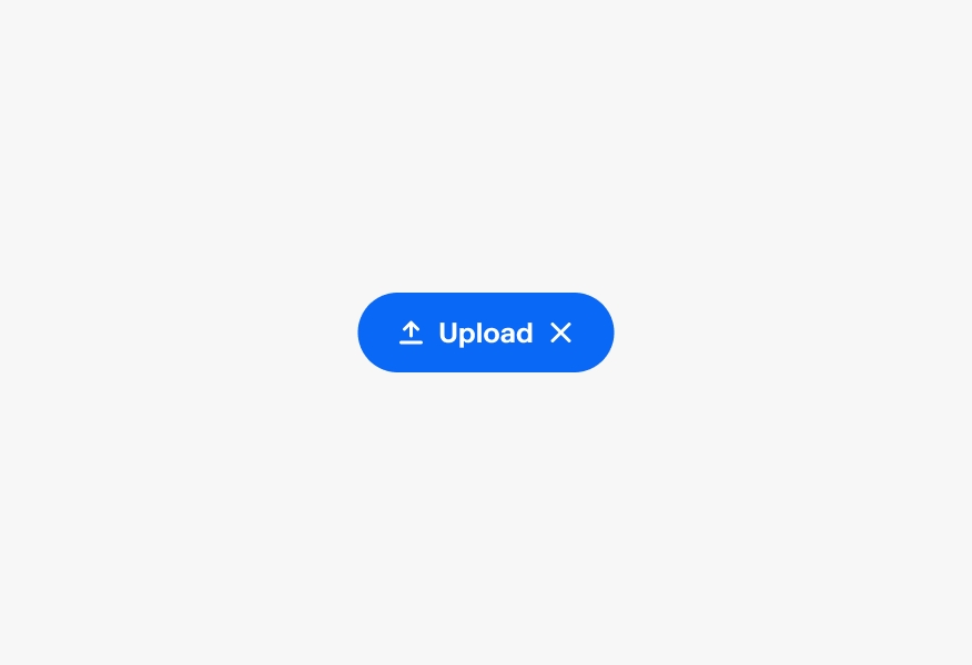 A button improperly showing a lead and trailing icon in the same button.