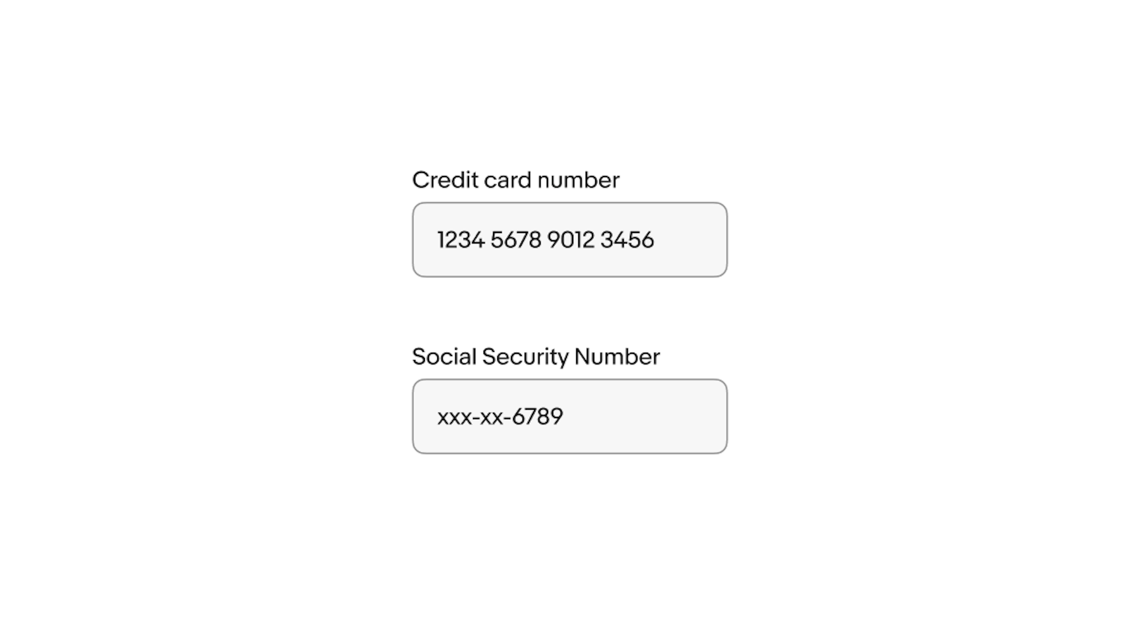 Two text fields. A ‘Credit card’ text field with pre-determined formatting sits above a ‘Social Security Number’ text field with pre-determined formatting.