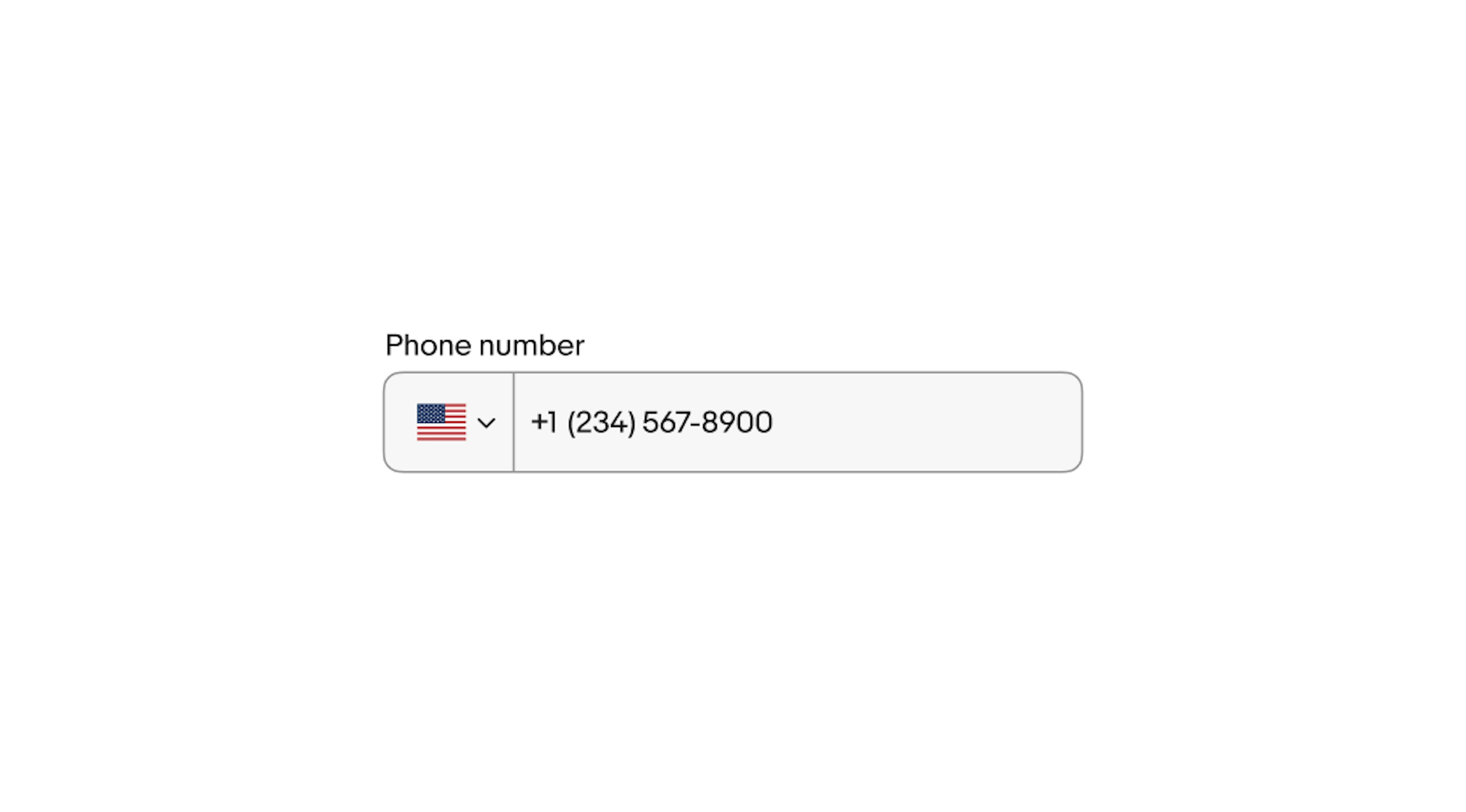 A full phone number ‘+1 (234) 567-8900’ is shown in the phone number field.