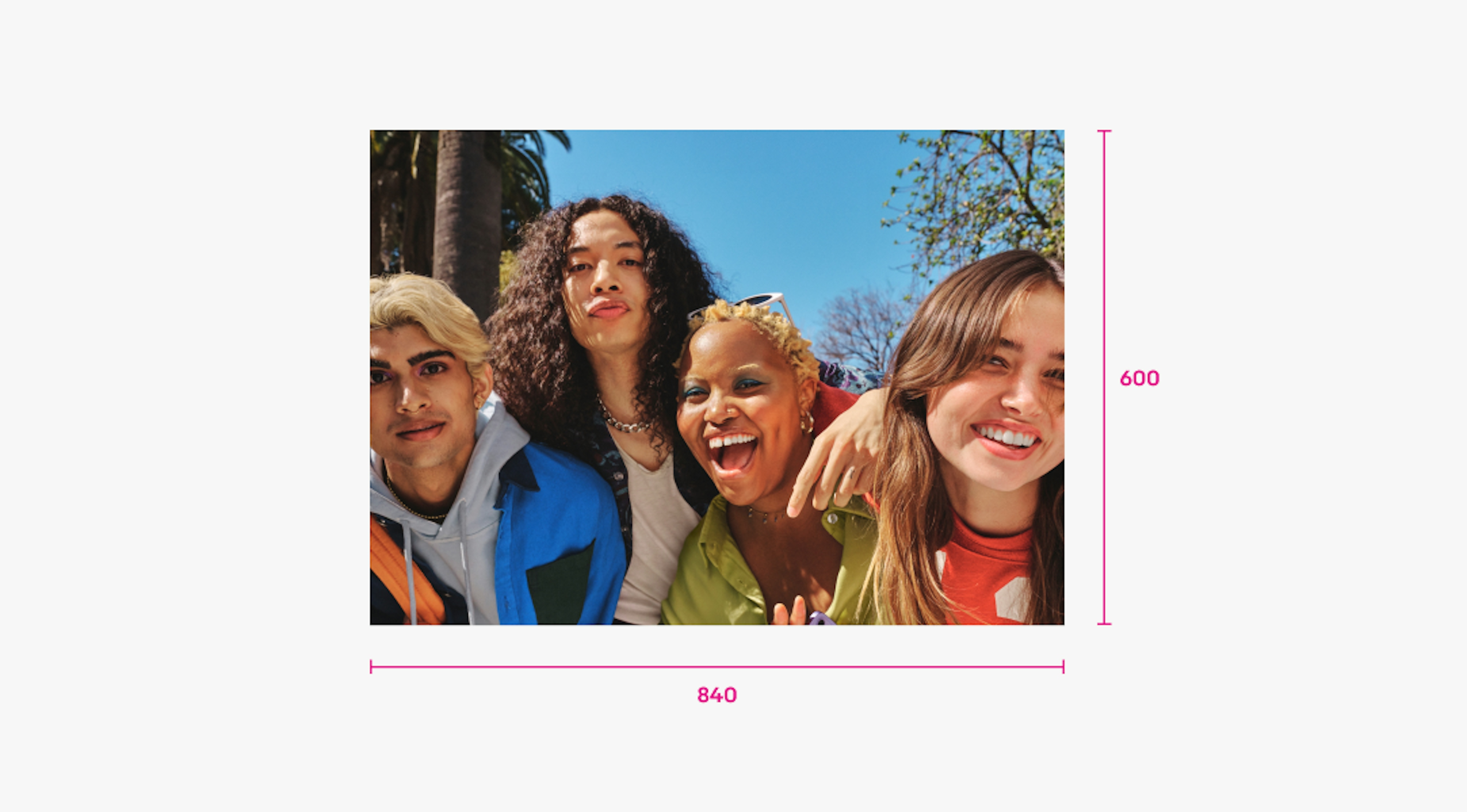 Rectangular photo of 4 friends outside with a palm tree behind them. There are two measurements. The measurement on the right shows the height is 600px and extends top to bottom. The measurement on the bottom shows the width is 840px from left to right.