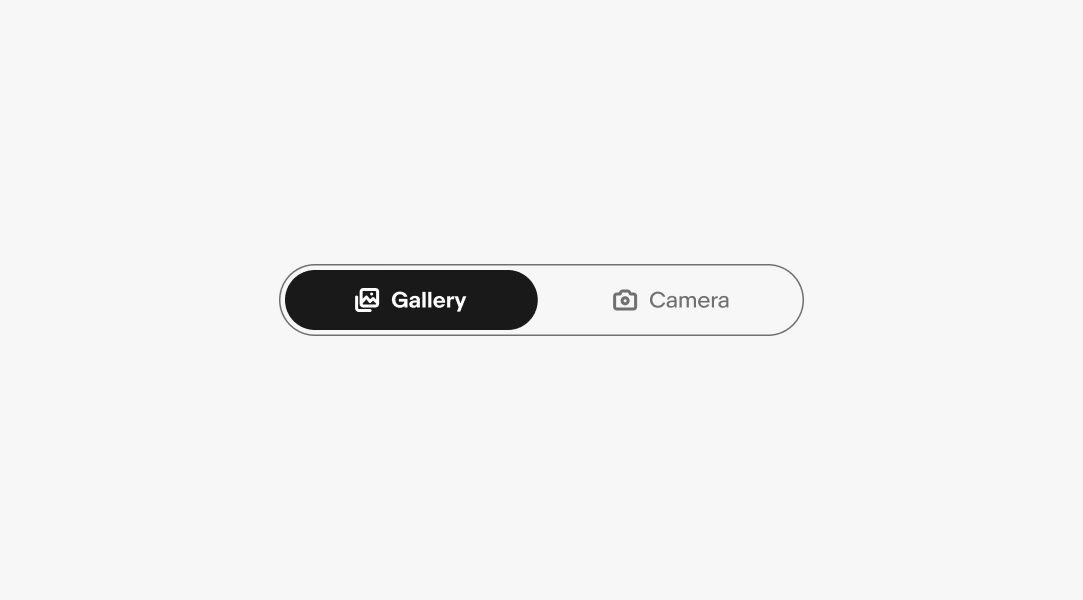 A ‘Gallery’ icon sits to the left of a ‘Gallery’ label on an active segmented button, and a ‘Camera’ icon sits to the left of a ‘Camera’ label the other segmented button.