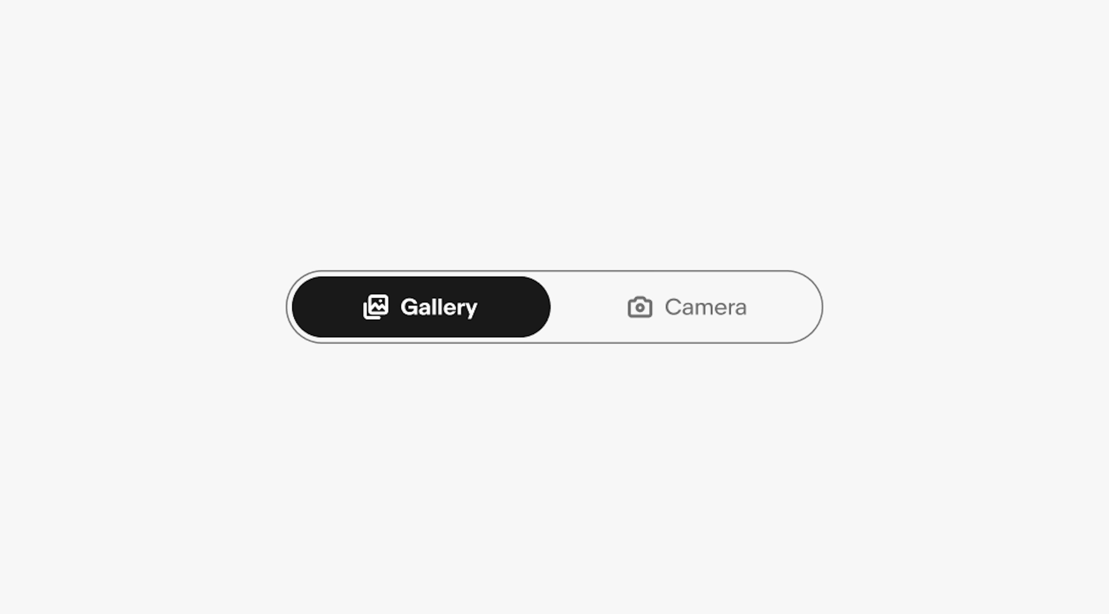 A ‘Gallery’ icon sits to the left of a ‘Gallery’ label on an active segmented button, and a ‘Camera’ icon sits to the left of a ‘Camera’ label the other segmented button.