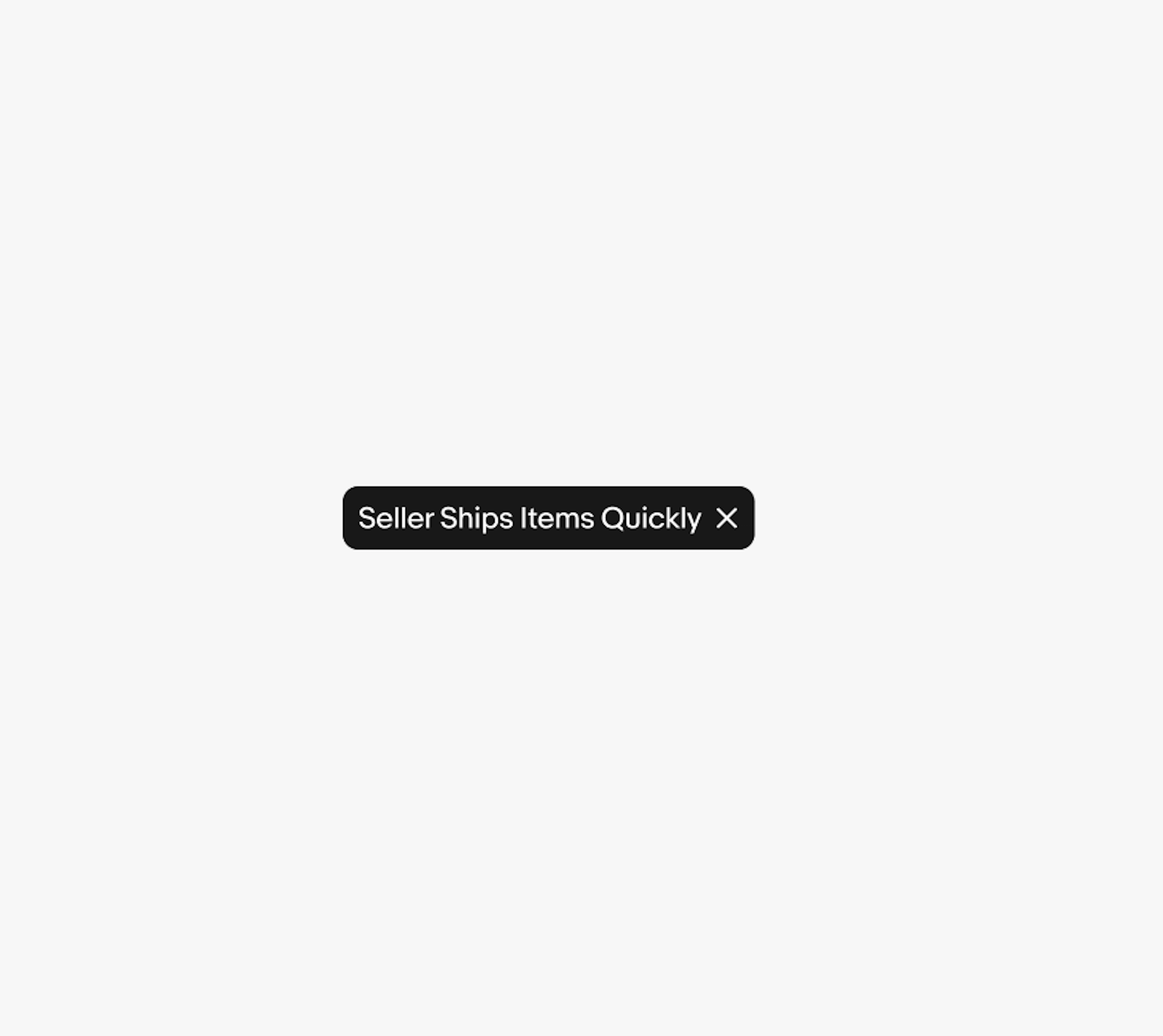 Input chip with “seller shipped the item quickly” as copy. 