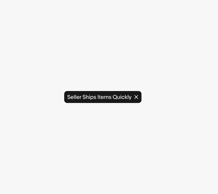 Input chip with “seller shipped the item quickly” as copy.