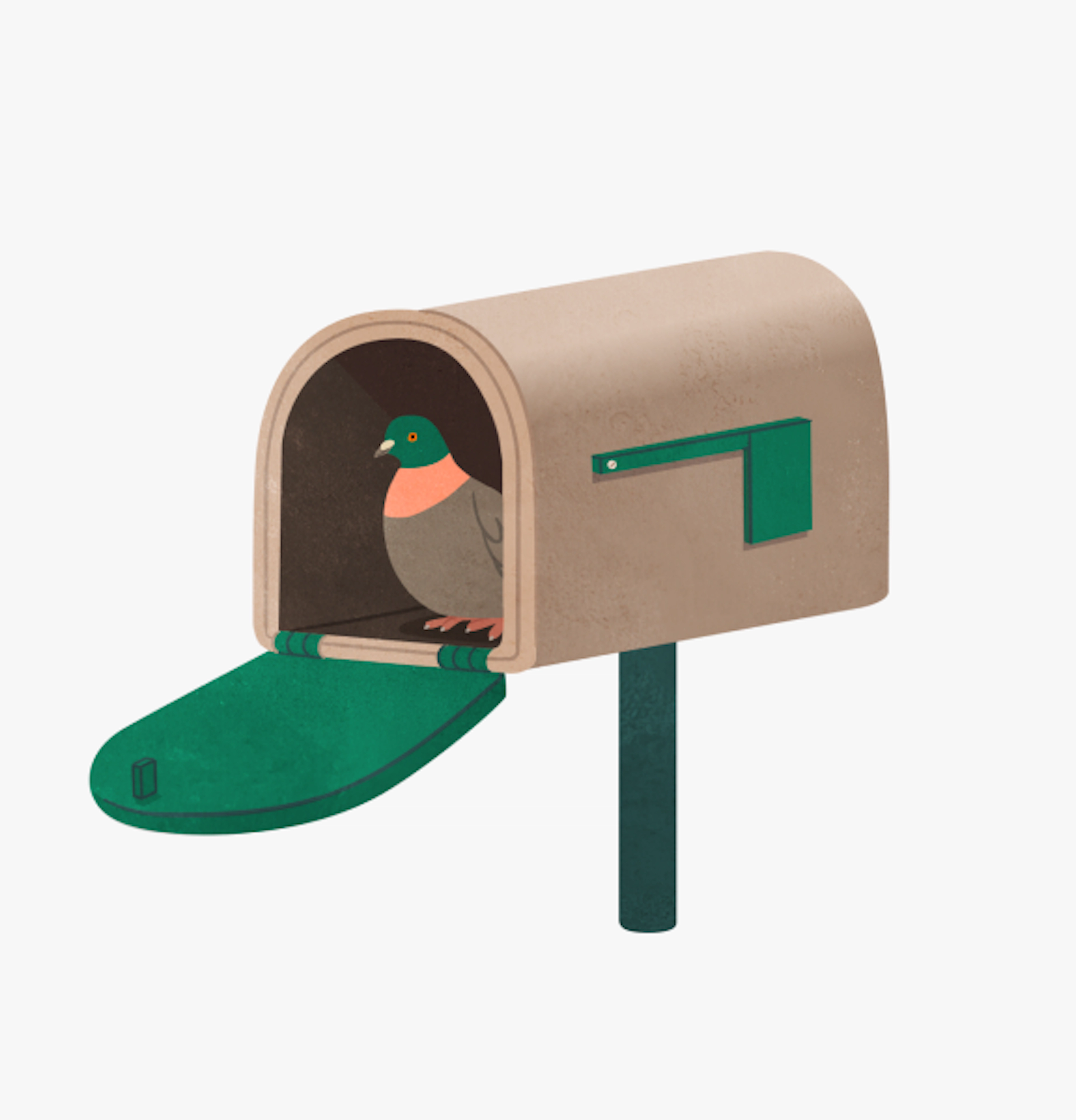 Pigeon-mailbox illustration