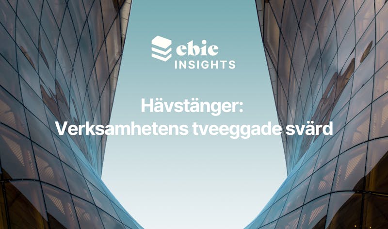 Ebie insight - din digitala riskchef om hävstänger