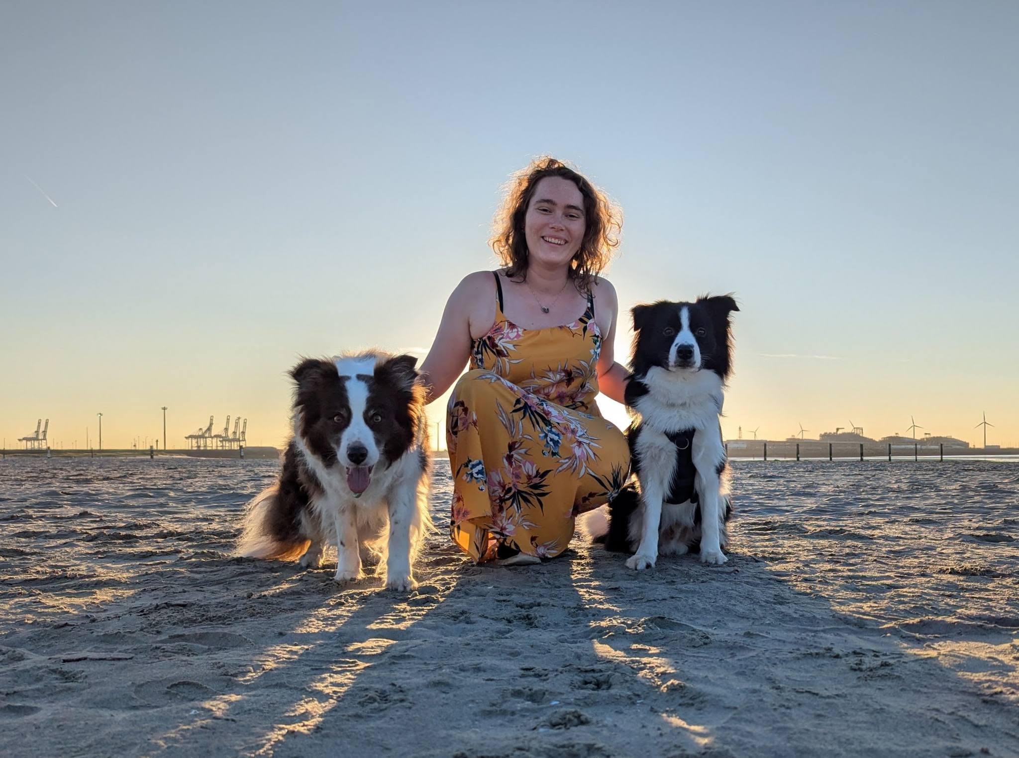 Tinne met Border Collies Missy en Echo