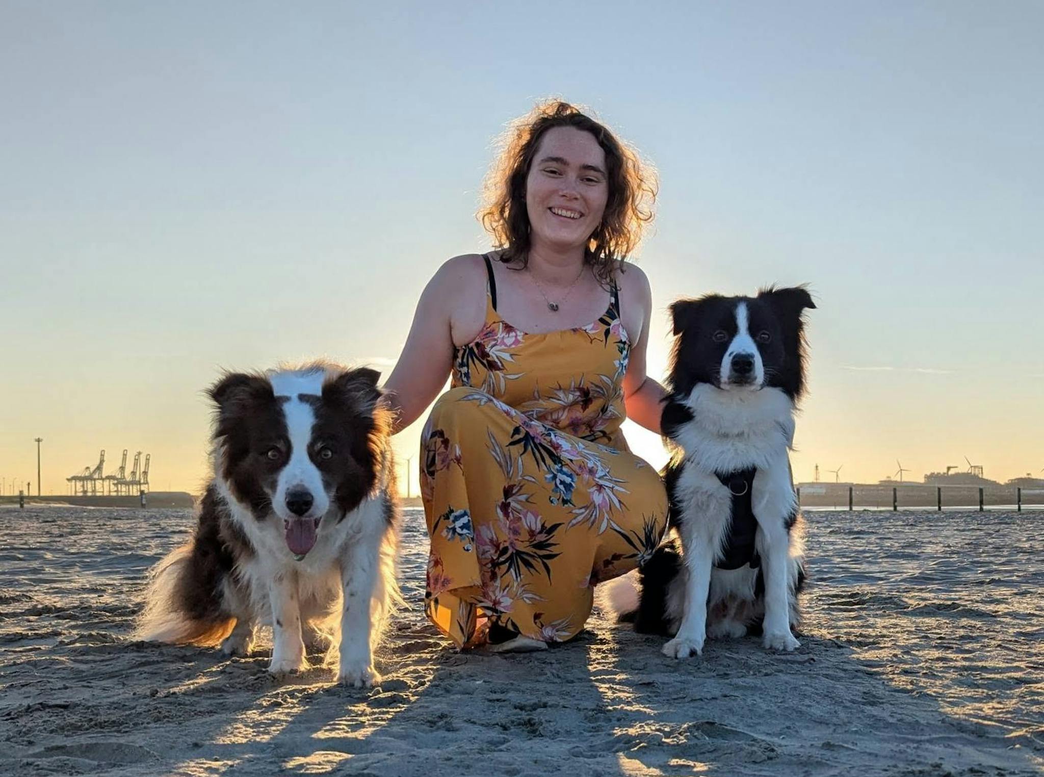 Tinne met Border Collies Missy en Echo