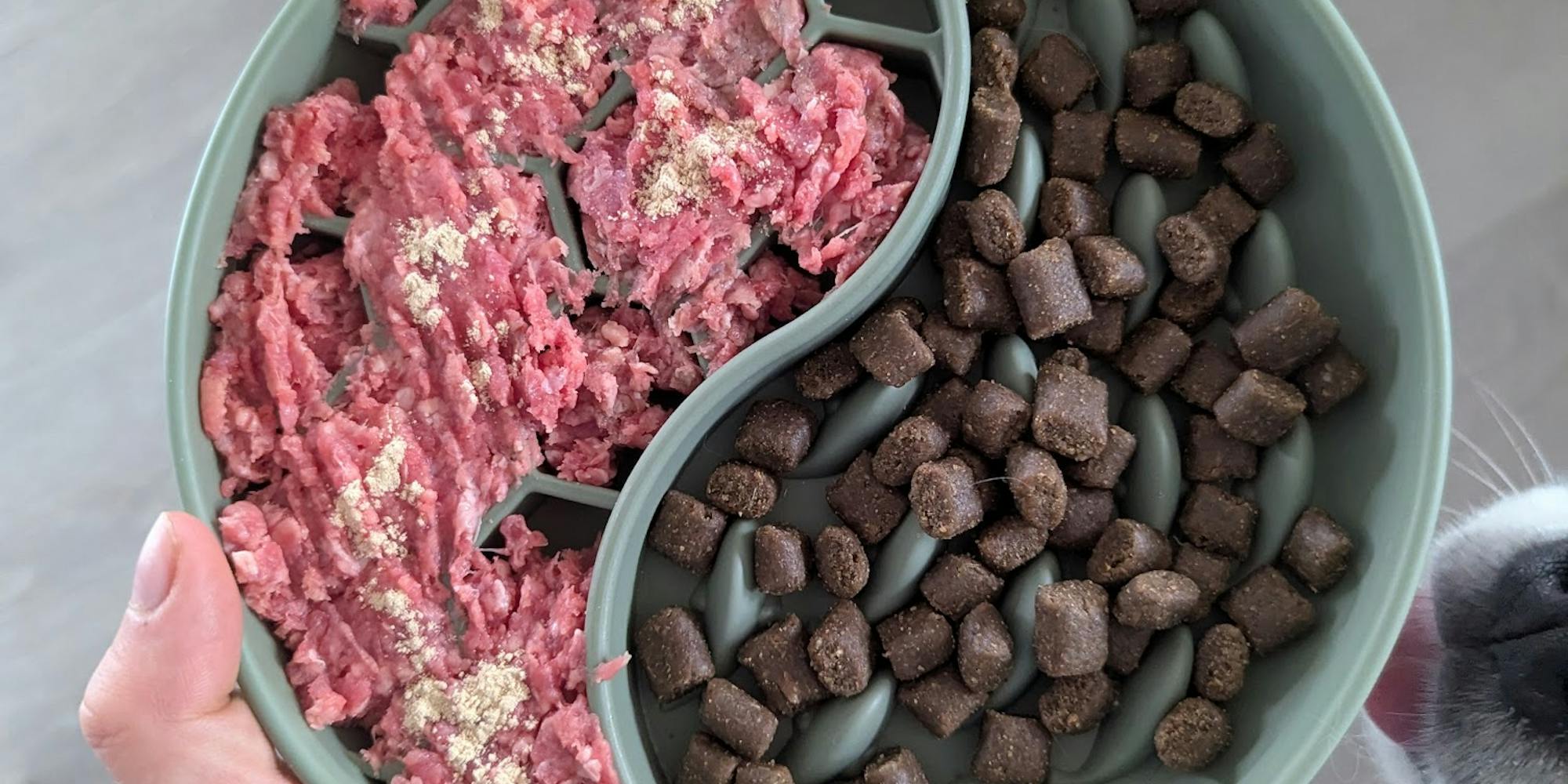 Voerbak met rauw vlees en brokken