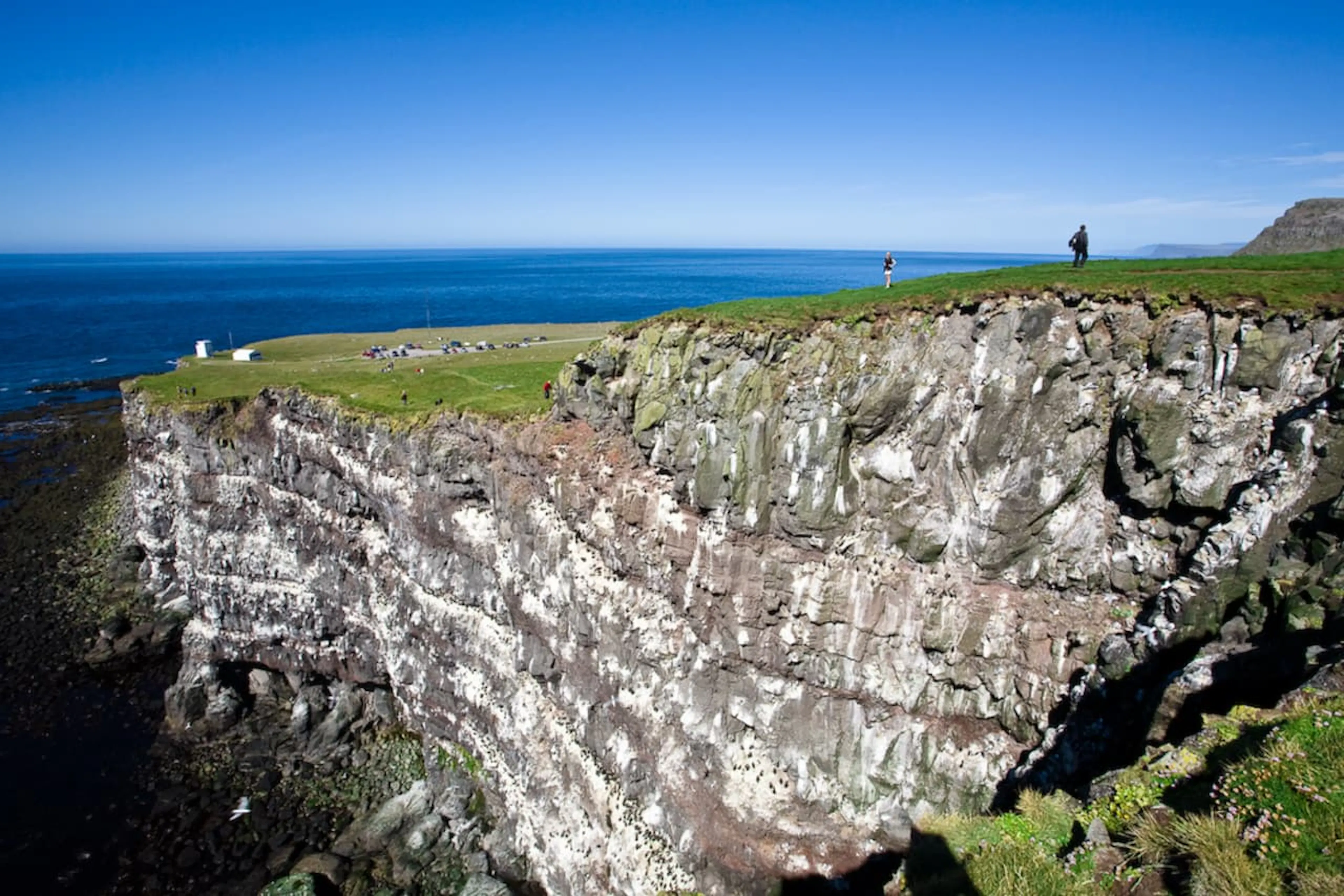 Látrabjarg. Credit: Visit Westfjords