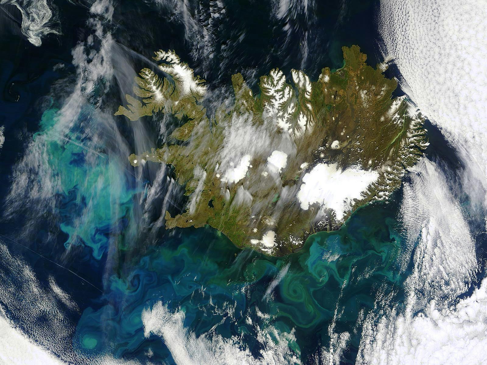 Phytoplankton bloom off Iceland. Credit: Jacques Descloitres, MODIS Rapid Response Team, NASA/GSFC