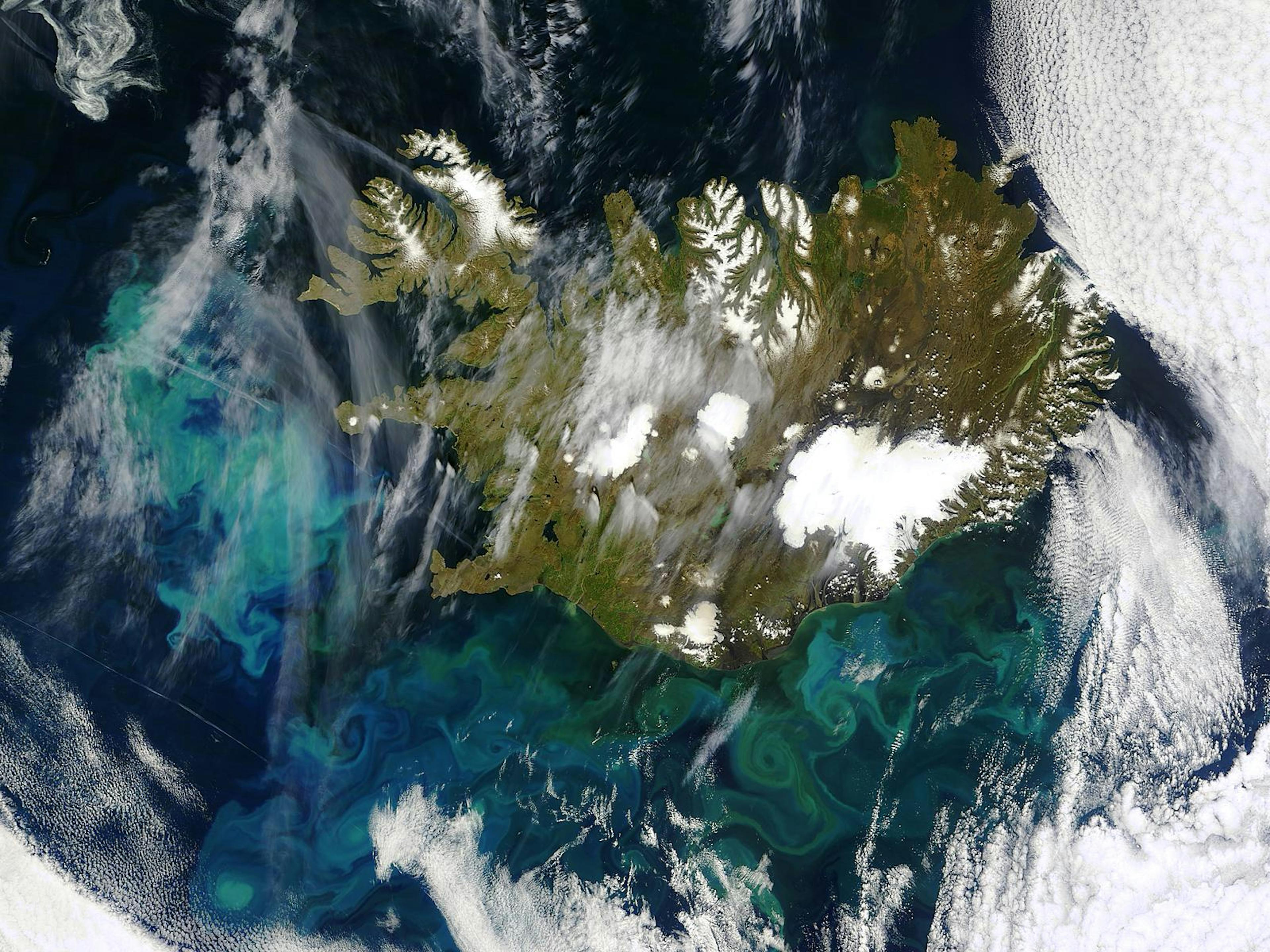 Phytoplankton bloom off Iceland. Credit: Jacques Descloitres, MODIS Rapid Response Team, NASA/GSFC