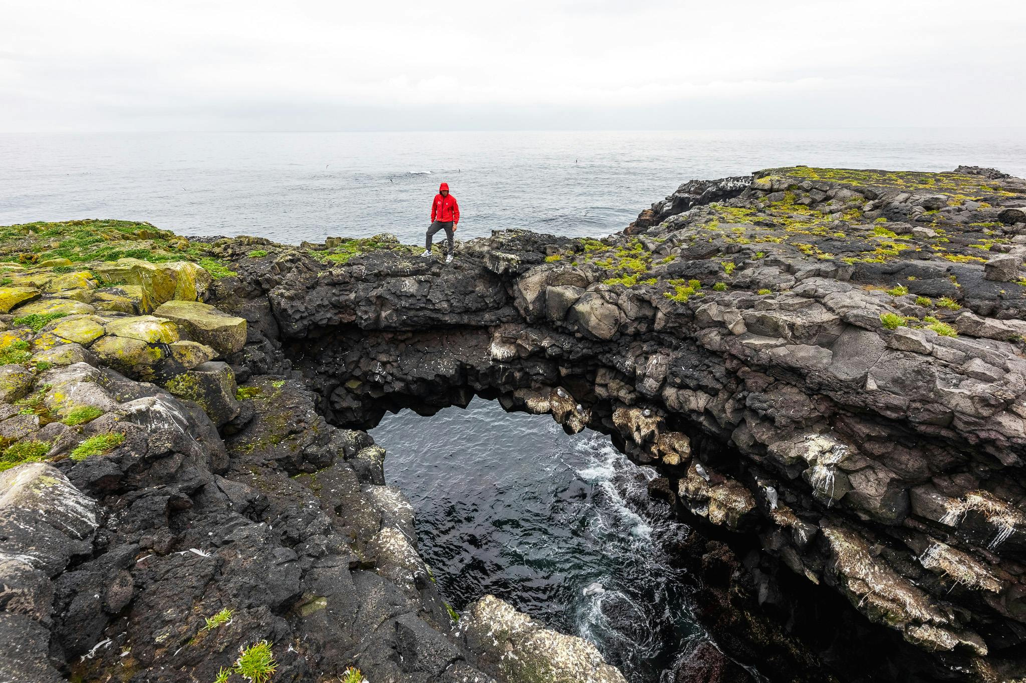 Hafnaberg sea cliff in Reykjanes peninsula. Credit: Visit Reykjanes