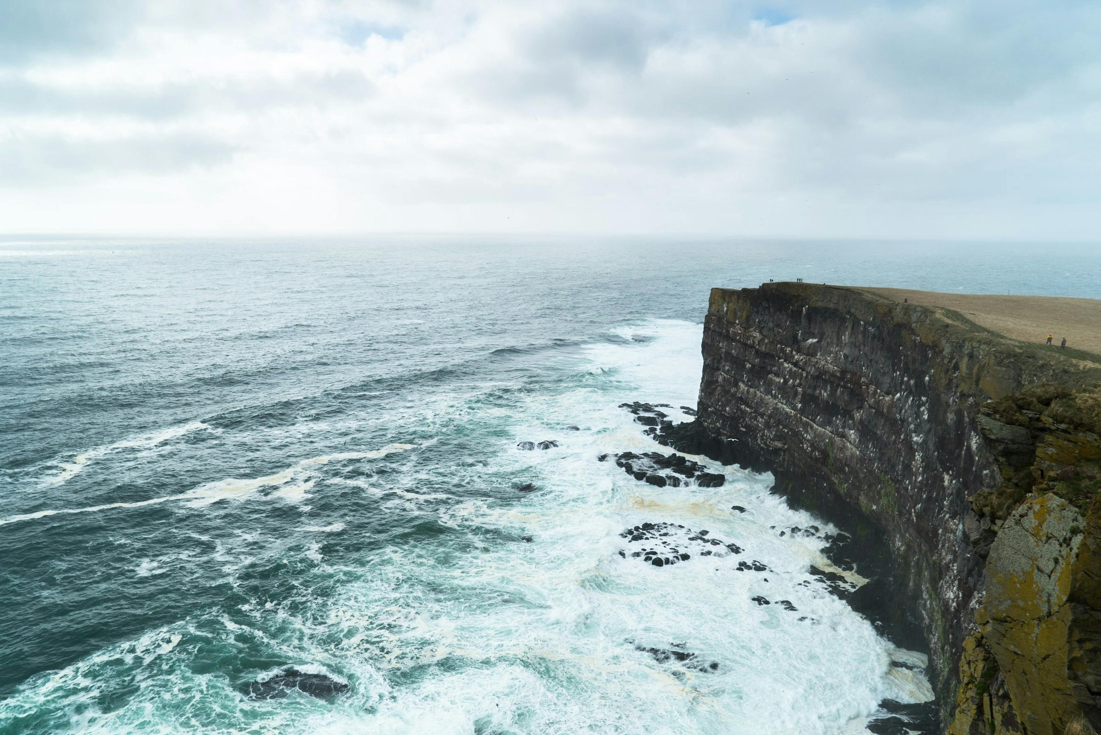 Látrabjarg. Credit: Visit Westfjords